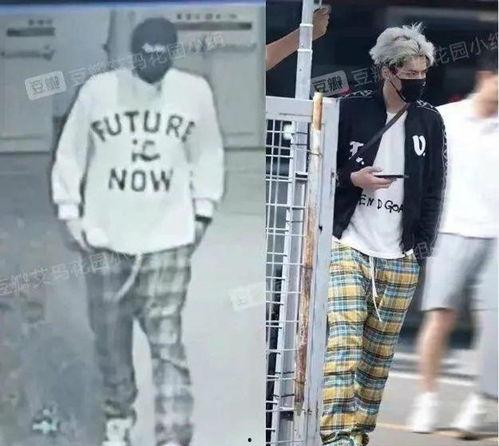 牛裤子最新爆料视频,惊人内幕曝光！